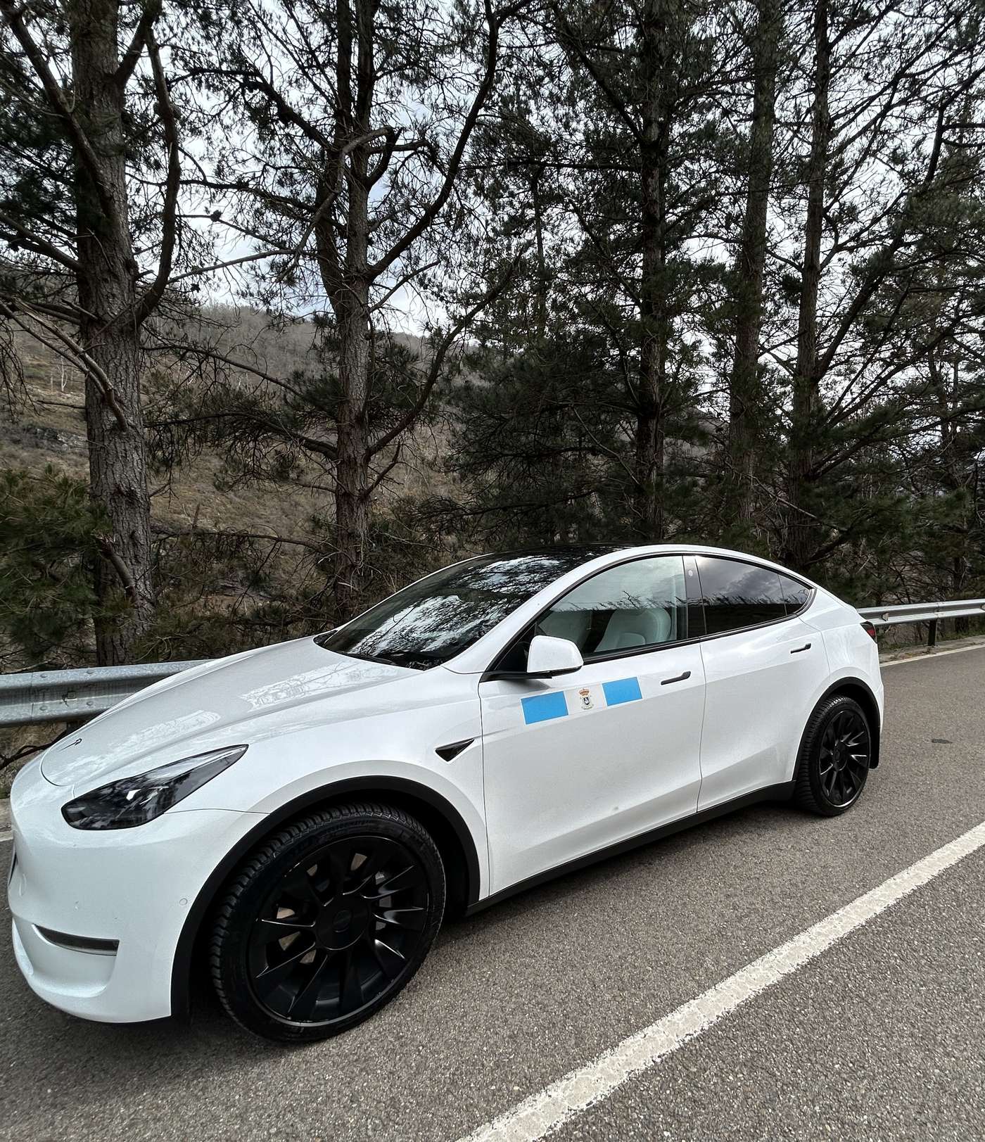 Tesla en ruta entre bosques